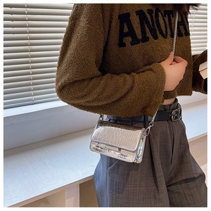 Detail of silver crocodile pattern crossbody bag featuring sleek metallic chain strap