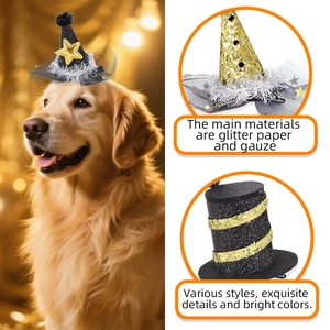 Chapeau de sorcier scintillant et pince à cheveux nœud pour chiens et chats fête