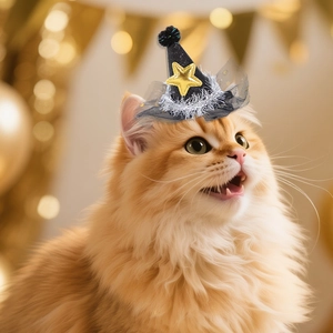 Mini chapeau de fête noir pour animaux avec étoile dorée et guirlande pour chats et chiens