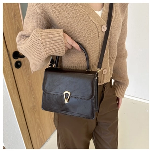 Detail of vintage dark brown faux leather square bag with gold horseshoe buckle and strap