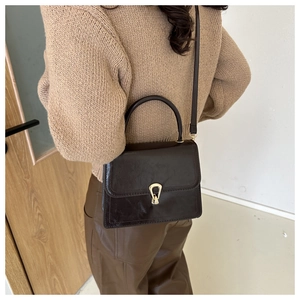 Detail of a vintage dark brown square crossbody bag with a gold horseshoe lock closure