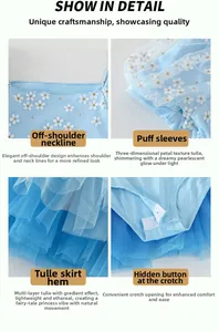 Detail of girl's blue daisy dance dress showing bubble sleeves and snap buttons