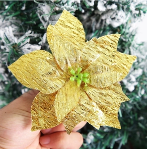 Close-up of a golden velvet poinsettia Christmas flower on a green tree branch
