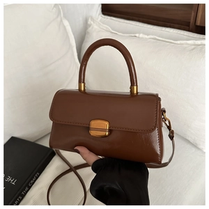 Detailed view of brown leather handbag featuring gold metal clasp and top handle