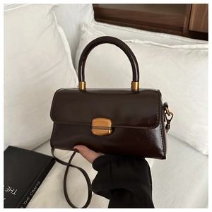 Detail of dark brown glossy leather handbag with golden metal lock and round handle