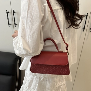 Deep red minimalist crossbody bag with snake skin pattern detail and gold hardware accent