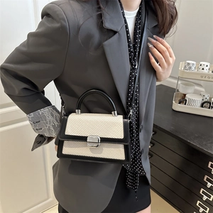 Chic beige woven crossbody bag with black leather trim and silver twist lock