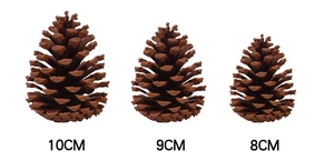 Detailed comparison of natural pine cones in 10cm, 9cm, and 8cm sizes for DIY Christmas decor