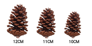 Three natural dried pine cones in 10cm, 11cm, and 12cm sizes for Christmas DIY decor