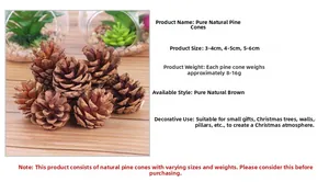 Natural brown pine cones in various sizes for DIY Christmas tree and wreath decoration