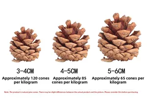 Detailed comparison of three natural pine cone sizes on white background for Christmas decor