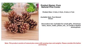 Macro detail of various natural brown pine cones in sizes from 3cm to 7cm for Christmas decor