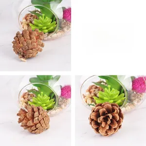 Macro shot of natural dried pine cones for DIY Christmas tree and wreath decoration