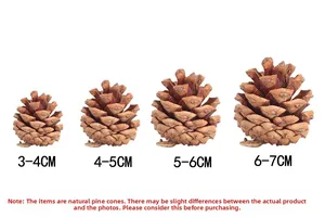 Detailed size comparison of natural pine cones ranging from 3cm to 7cm for DIY crafts