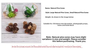 Macro detail of natural pine cones in large and small sizes for Christmas tree decor