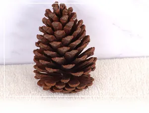 Vertical top view of a natural dried large pine cone on a soft white plush surface