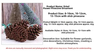 Macro detail of natural brown pinecones in various sizes from 8cm to 15cm for Xmas deco