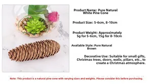 Detail of natural white pine cones in sizes 5-6cm and 8-10cm for Christmas tree decor