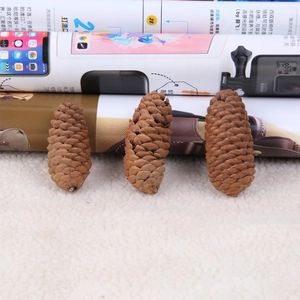 Detailed close-up of three natural brown pine cones for Christmas DIY craft and decor