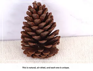 Macro shot of a natural dried pine cone for Christmas DIY wreath and tree decoration
