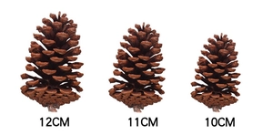 Three natural pine cones in 10cm, 11cm, and 12cm sizes for rustic Christmas decor