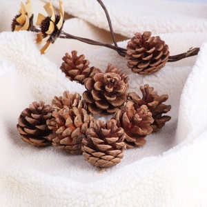 Natural pine cones for Christmas tree decoration, rustic wooden ornaments set for DIY crafts