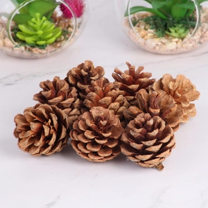 Group of natural dried pine cones on white marble surface for festive DIY crafts and decor