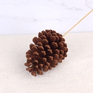 Detail of natural brown pine cone with long wooden stick for floral decor and DIY crafts