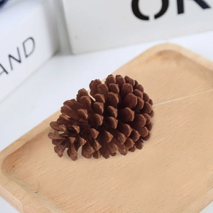 Macro shot of large natural pine cone on a wooden tray for Christmas home decoration