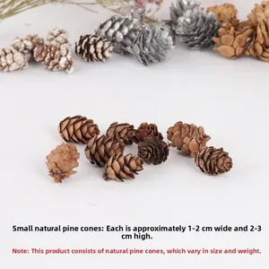 Macro detail of small natural brown pinecones measuring 1-2cm wide and 2-3cm high