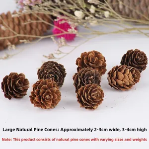 Close-up of 8 natural dried pine cones for DIY Christmas tree decorations and crafts