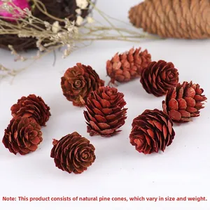 Detail of red-brown natural pine cones for DIY Christmas tree ornaments and wreaths