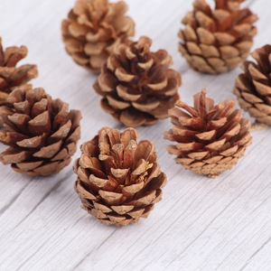 Pommes de pin naturelles pour décoration de Noël et ornements de maison rustiques