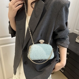 Light blue embroidered crossbody bag with diamond clasp and gold chain strap