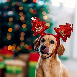 Brown dog wearing a red sequin Christmas tree headband with festive holiday decorations