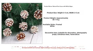 Detail van 3-5 cm natuurlijke berijpte dennenappels voor kerstboom en DIY-decoraties