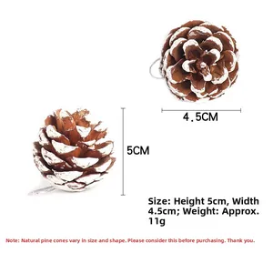 Witte natuurlijke dennenappels voor kerstboomdecoratie met afmeting 5x4.5cm