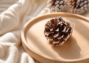 Detail of natural brown pine cones with white tips and rustic handmade wooden texture