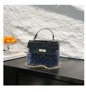 Close-up of blue transparent handbag with crocodile texture and gold chain strap
