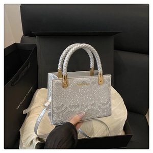 Detailansicht der silbernen Schlangenmuster-Handtasche mit gewebtem Griff in Geschenkbox