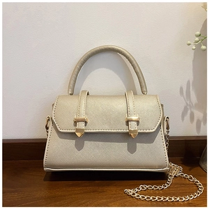 Detail of champagne gold structured crossbody bag with cross-grain leather and chain