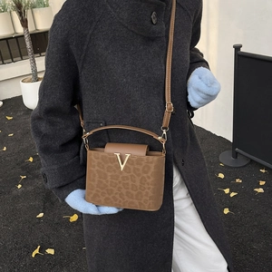 Bolso tipo cubo marrón con estampado de leopardo y hebilla en V dorada en otoño