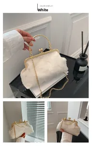 Detailed view of white lace pleated bag with gold metal handle and retro kiss lock