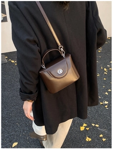 Gros plan du sac en cuir mat marron foncé avec fermoir argenté sur feuilles de ginkgo