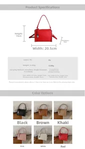 Detail view of mini bag dimensions and six color options with lychee texture