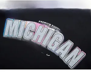 Detail of silver glitter Michigan print on black hoodie with 3D embossed effect