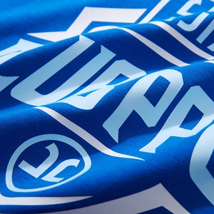 Close-up of blue long-sleeve T-shirt featuring premium letter printing and fabric texture