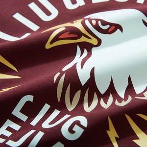 Burgundy long sleeve t-shirt with eagle print and bold letters in streetwear style