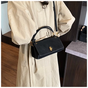 Close-up of black suede crossbody bag featuring a vintage gold twist lock buckle