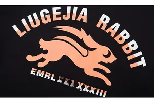 Detail of the rabbit graphic print and typography on the black streetwear sweatshirt